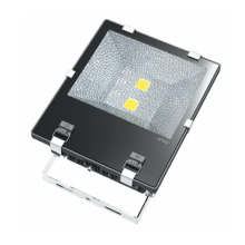 Zertifizierte Integration Floodlights 10W-100W